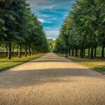 Maximiser Vos Retours : Astuces d’Investissement pour Débutants